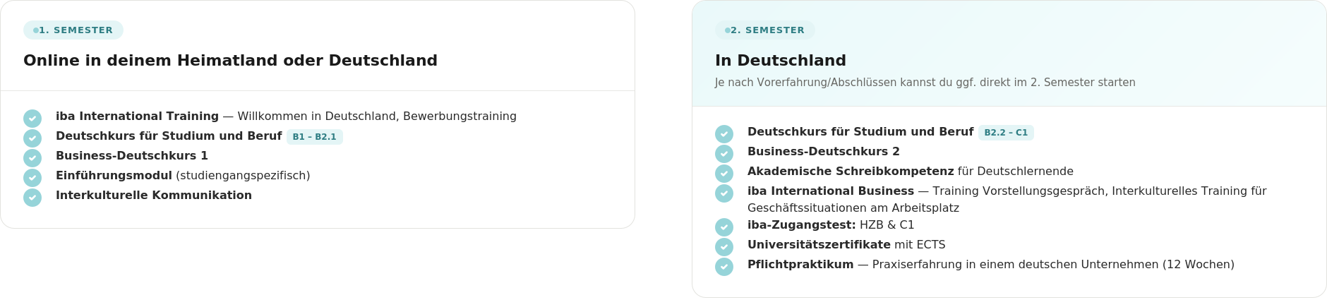 ablauf_international_year_one_studium